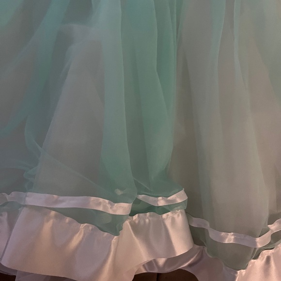 Like new Adult medium ballet costume and barette - Picture 12 of 16